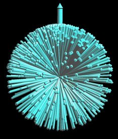 The nuclear spins are randomly oriented in absence of external magnetic field