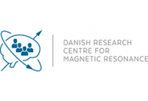 Ultra-succesful ultra-high field MRI workshop held in Copenhagen