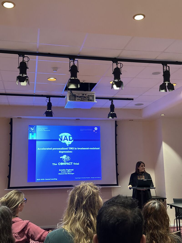 11112025 Armita billede