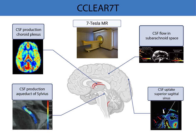 CCLEAR7T billede 800x560