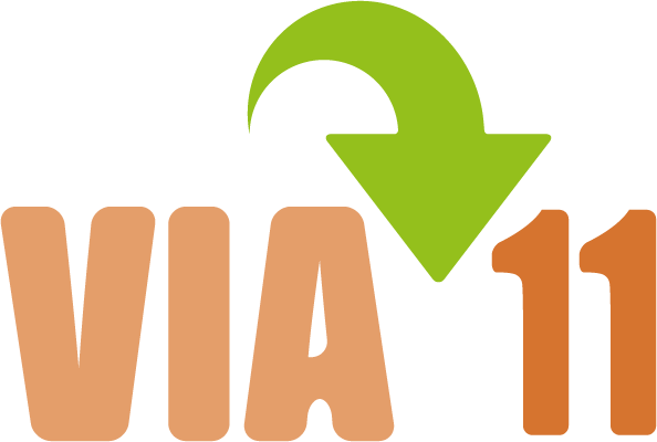 VIA11 Logo