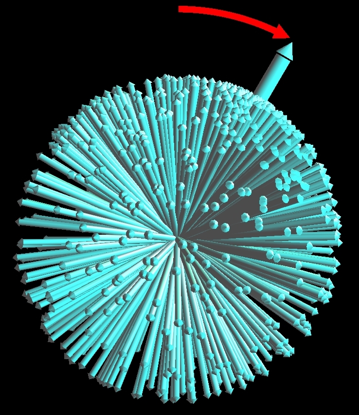 In the rotating frame of reference, the nuclei precess around a stationary B1 field that is transversal at resonance.