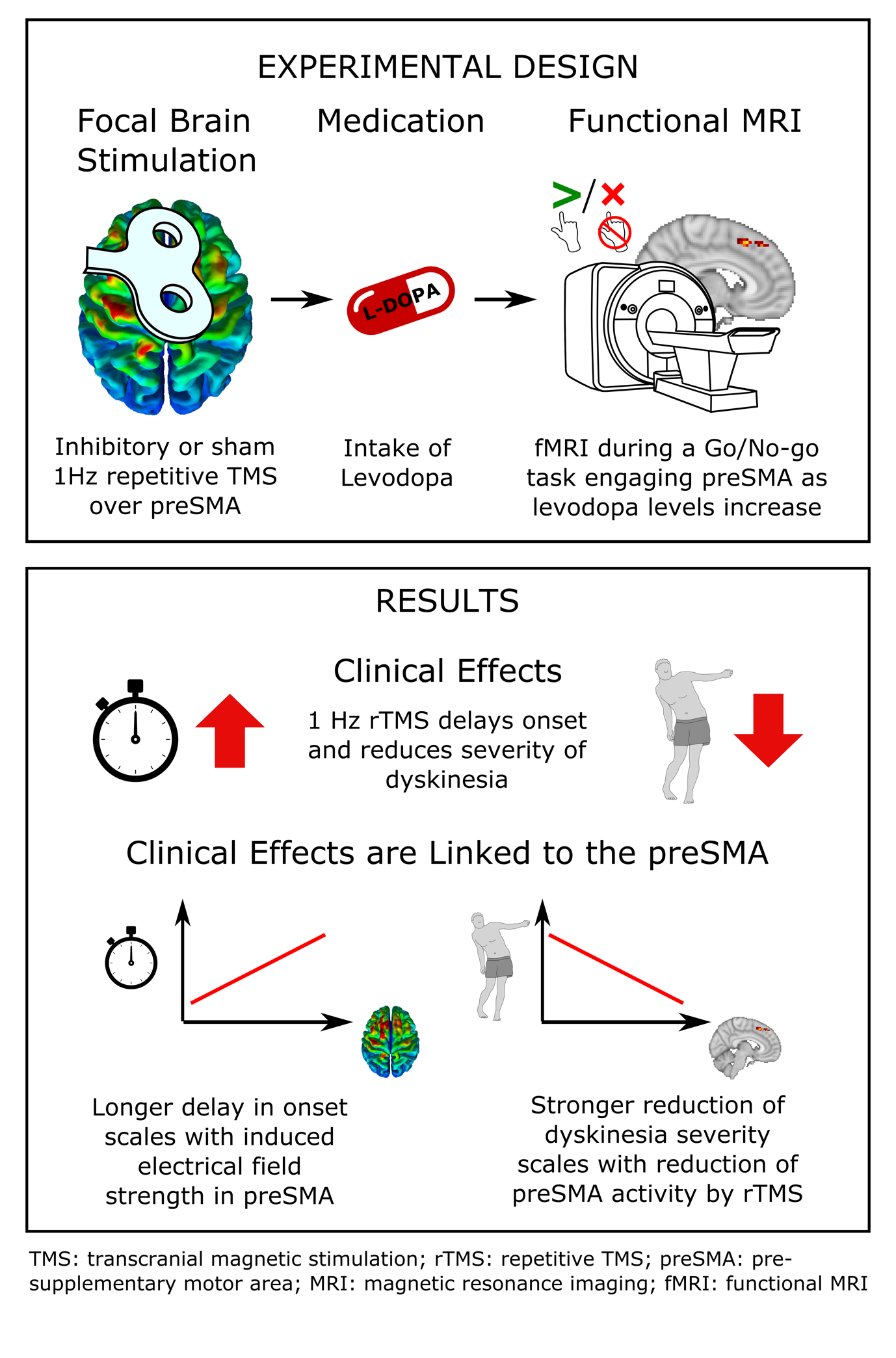 Motor Parkinson's disease and structure (Chapter 3) - Magnetic Resonance  Imaging in Movement Disorders