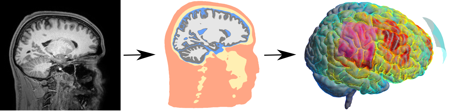 Neurophysics Figure 1