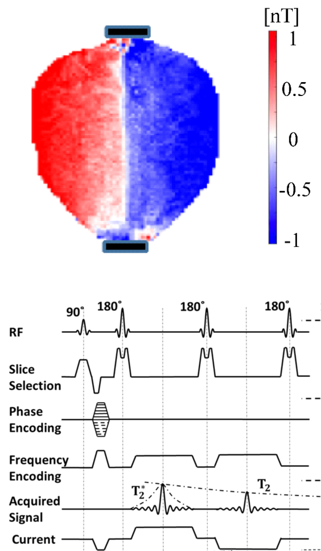 Neurophysics Figure 3