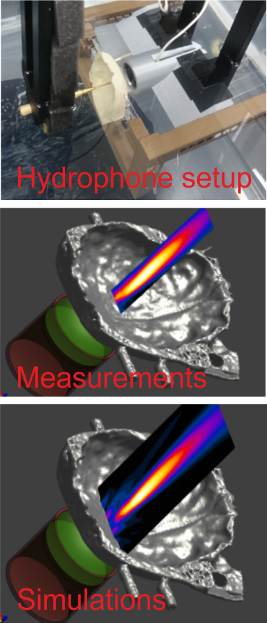 Neurophysics Figure 4