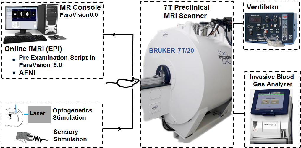 Preclinical Billede 3