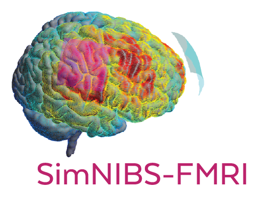 SimNIBS FMRI logo