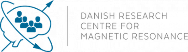 The Capital Region of Copenhagen is looking for a postdoctoral researcher in brain imaging informed transcranial stimulation
