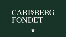 Becoming me: how does the developing brain construct a self?