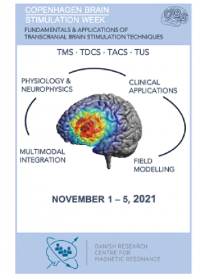 Copenhagen Brain Stimulation Week 2021