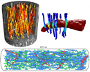 Do you want to know what white matter looks like in 3D?