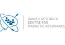 Award to Kristoffer Hougaard Madsen for PhD thesis on fMRI analysis