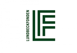 From Nano to Macro: Memory-Efficient AI for Multi-Scale Brain Microstructure Segmentation