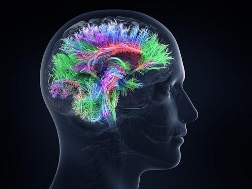 Project selected as a highlight by the European Research Council (ERC)