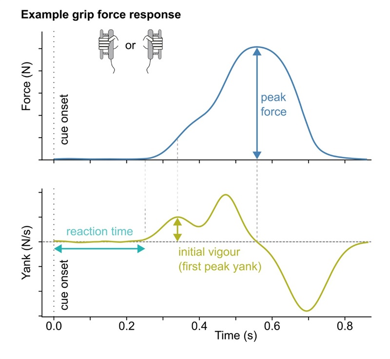 Example grip force response